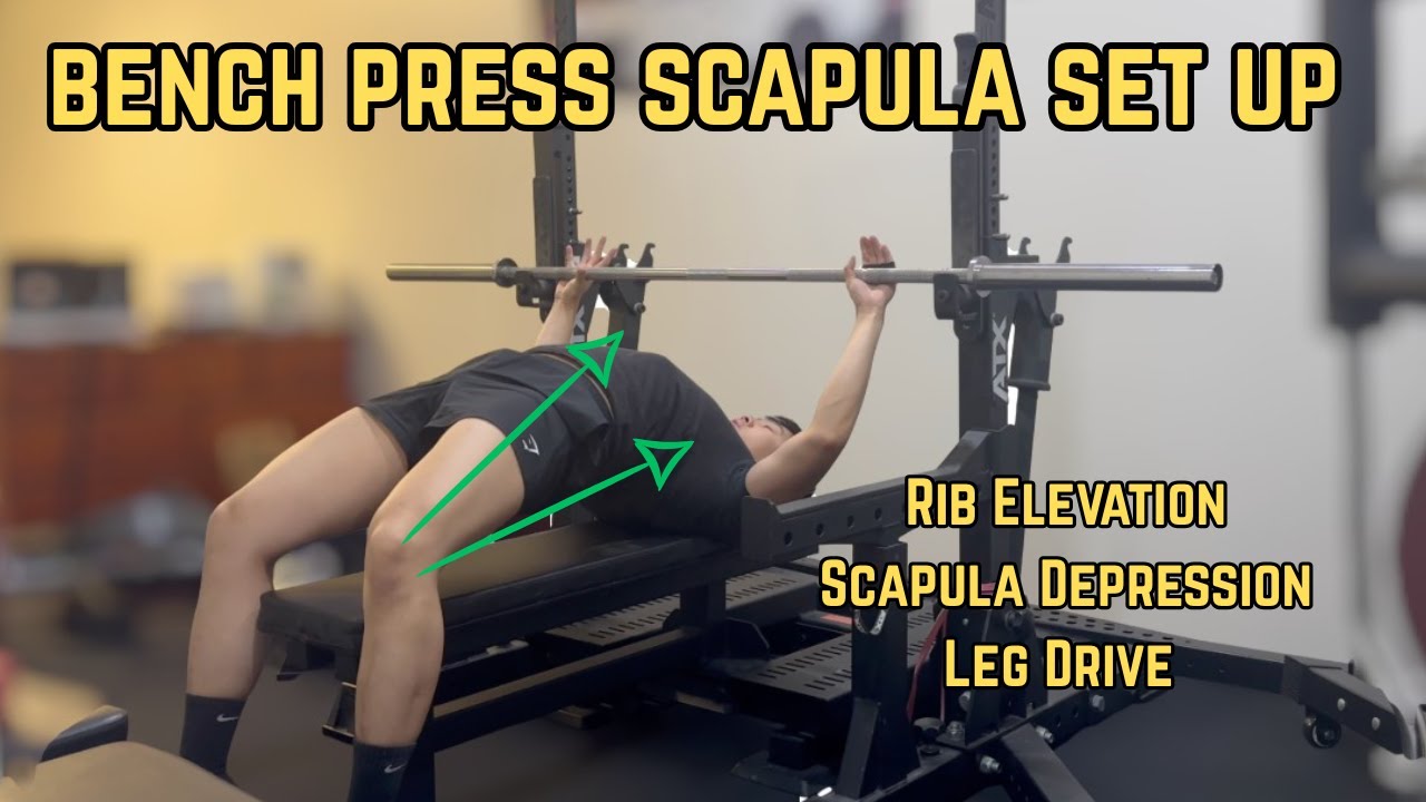 Bench Press Guide: How to Set Up for the Bench Press