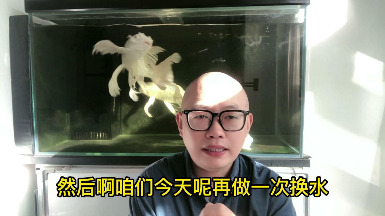 这鱼缸都成了化粪池了！让您看看在“化粪池”里养鱼！