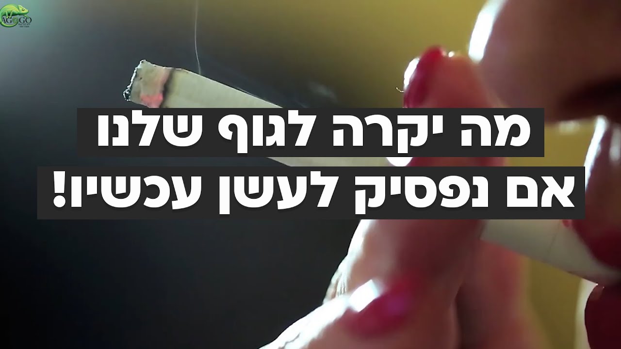 מה יקרה לגוף אם נפסיק לעשן