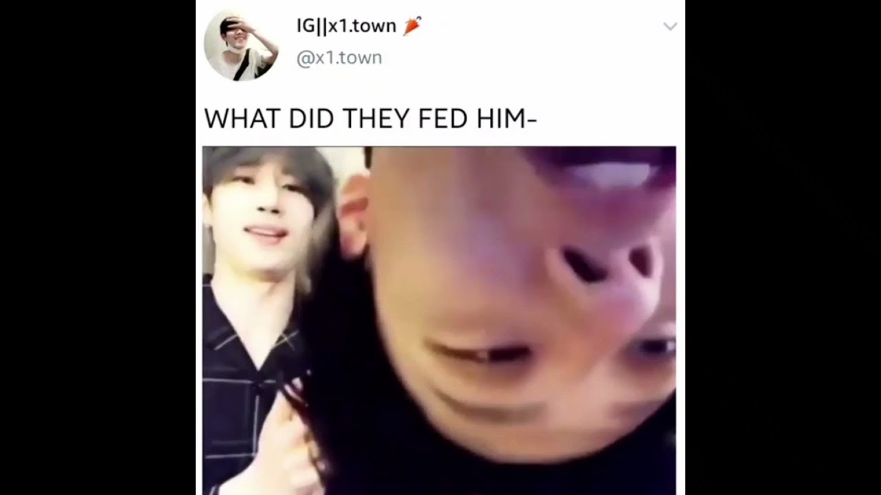 X1 Memes/vines to make your life better