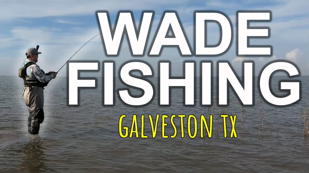 Wade Fishing Christmas Bay for Speckled Trout