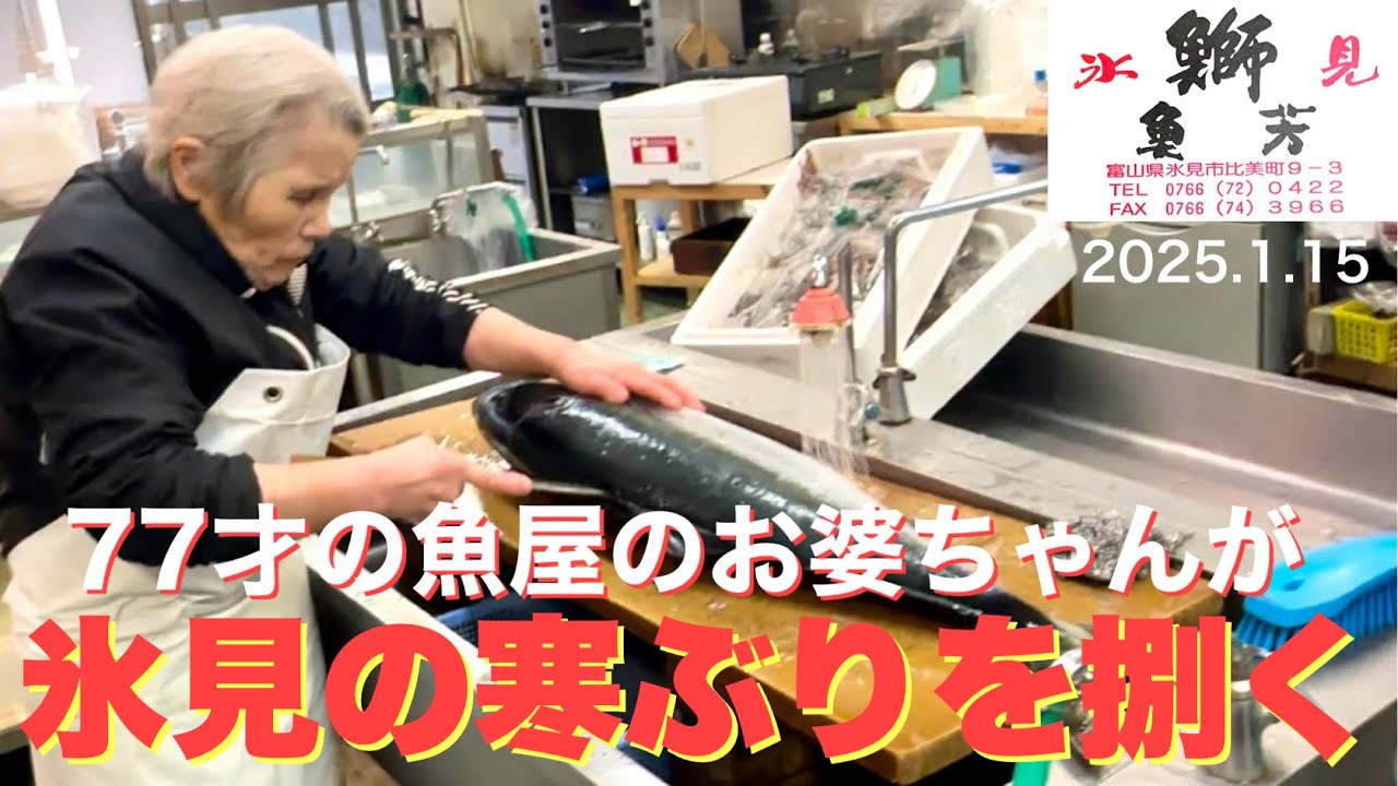 77才の魚屋のお婆ちゃんが氷見の寒ぶりを捌く