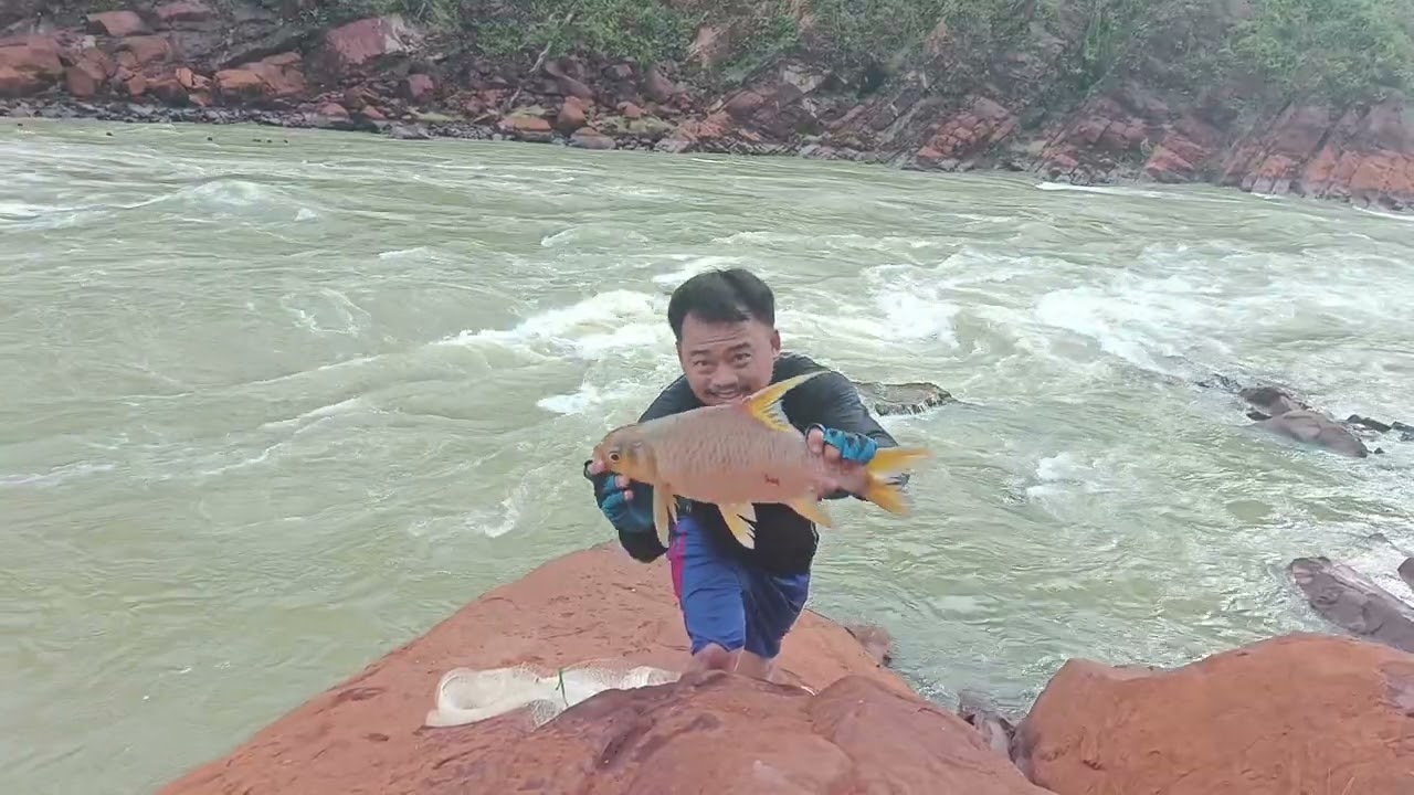 lama tidak menlapor diri gai.. Frist video 2026@ikan mengalan