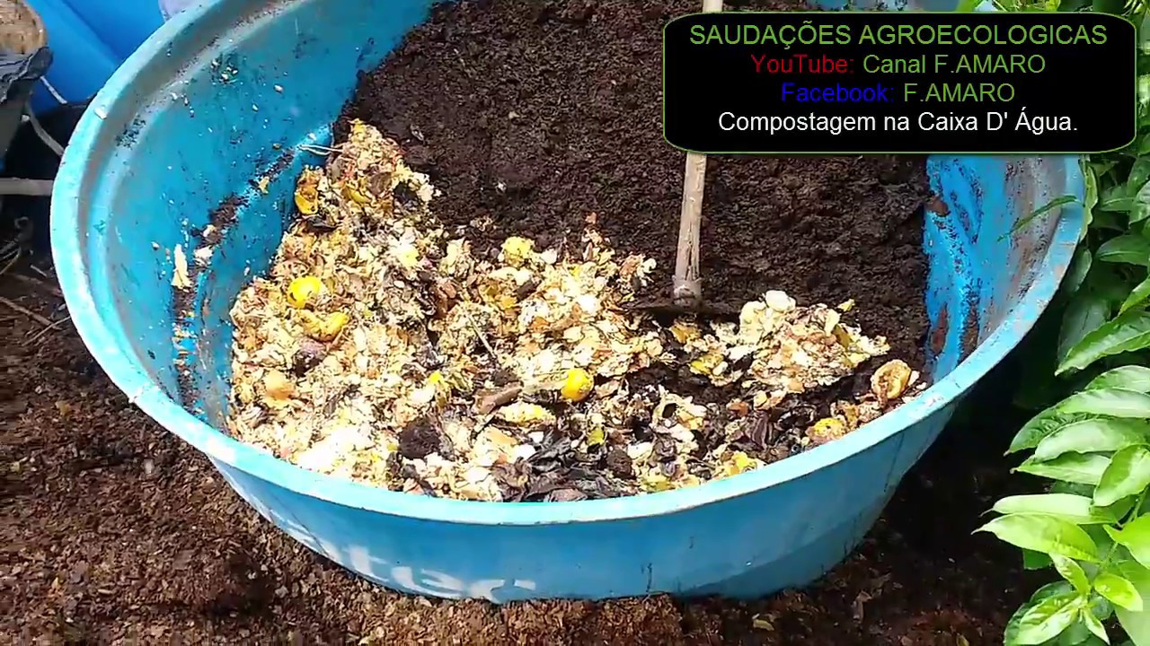 Composteira e Manejo em Caixa d' água