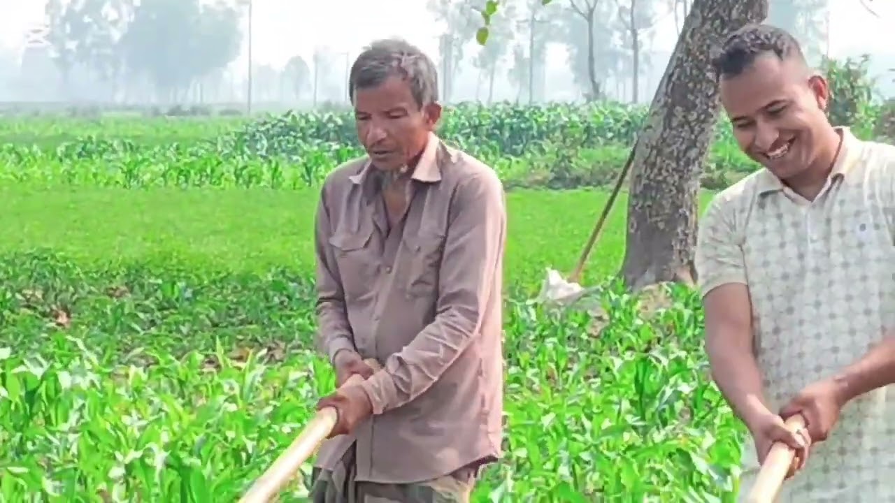 ৩ বাপ বেটা  আমাদের ভুট্টা খেতে আজকে সারাদিন কাজ করলাম,আব্বা সাথে থাকলে যে কোন কঠিন কাজই সহজ মনে হয়,