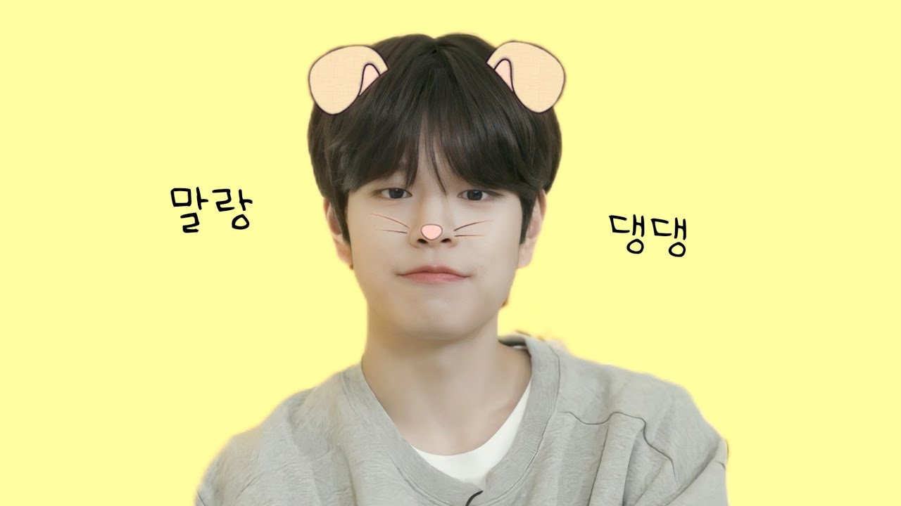 飼いたくなるアイドル🐶キムスンミン [straykids日本語字幕]
