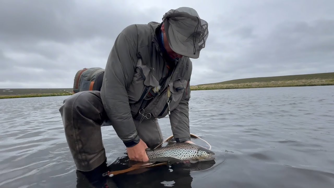 Brown Trout Fishing in ICELAND part 3 Icelandic Elements PRIVATE TOURS