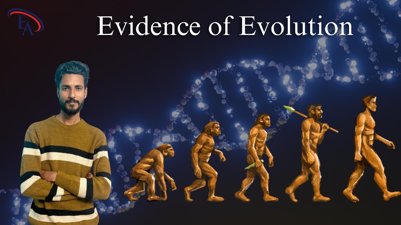 Evidence of Evolution | Class 10 Science | Complete Topic Explanation | Excel Academy