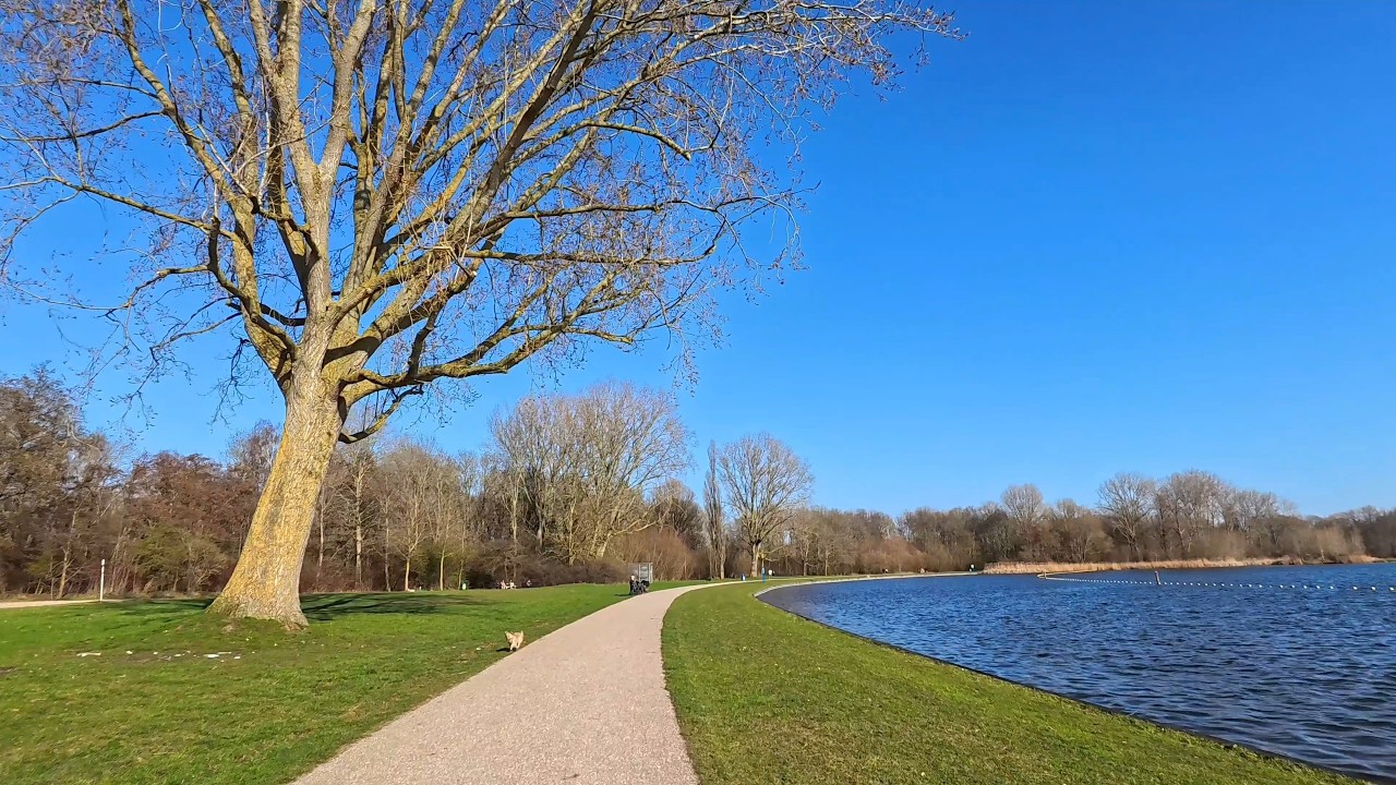 Cycling in the Netherlands | Bike Ride near Delft