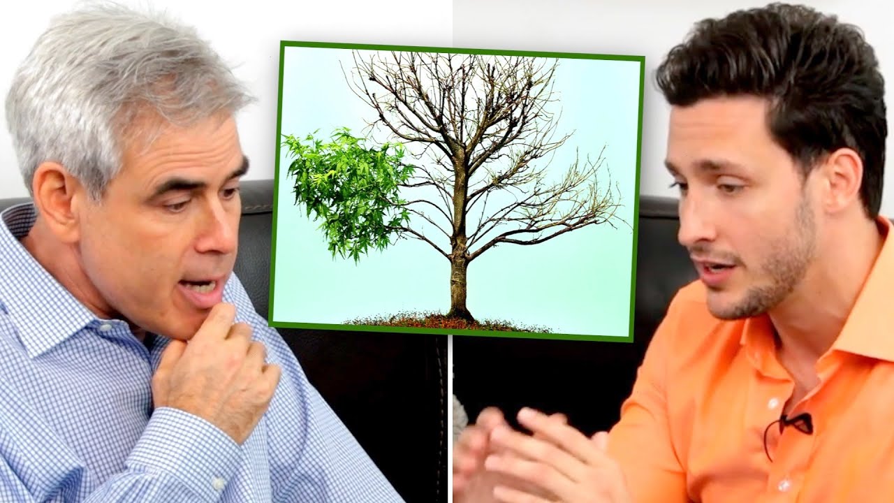 How To Turn Trauma Into Growth ft. Jonathan Haidt