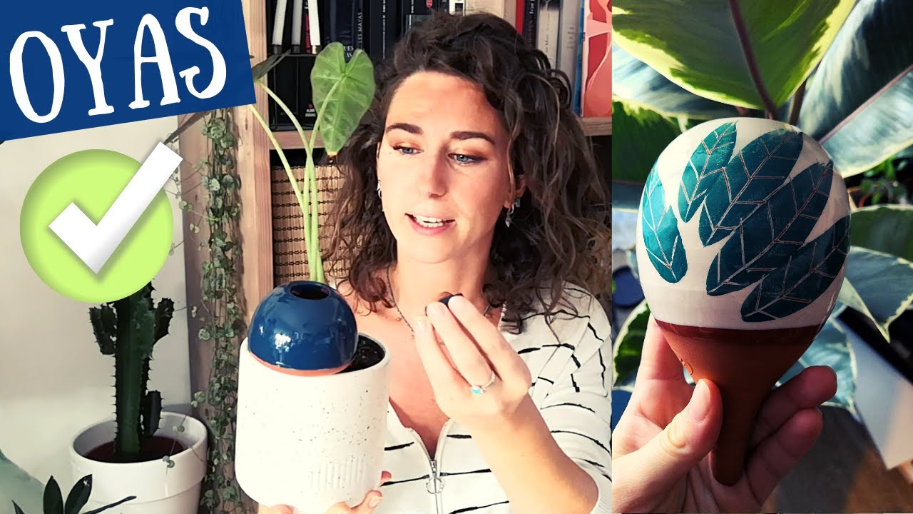 Oyas reserves d'eau : super technique d'arrosage des plantes !