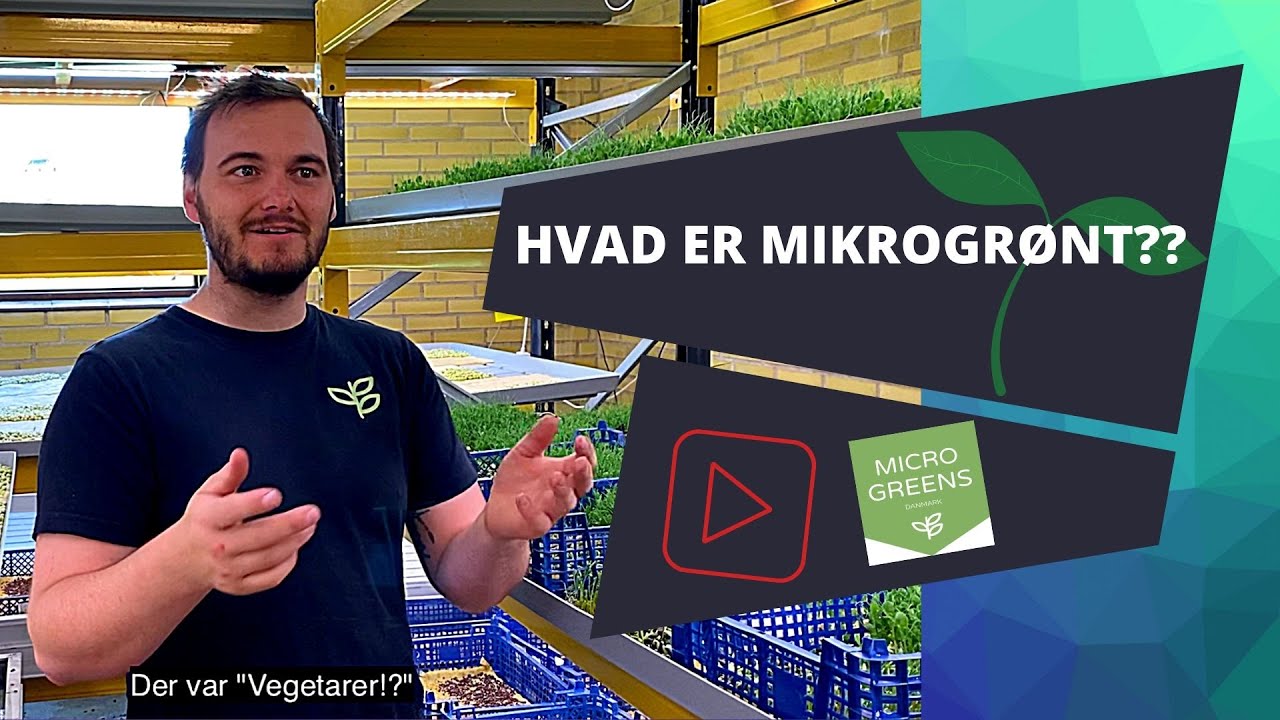 Hvad er MicroGreens (HELE FORKLARINGEN)