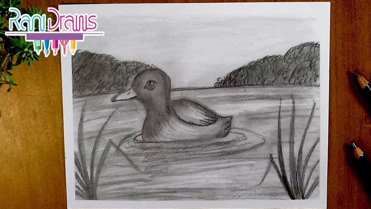 Cómo dibujar un paisaje de PATO SALVAJE con LÁPIZ - Paso a paso