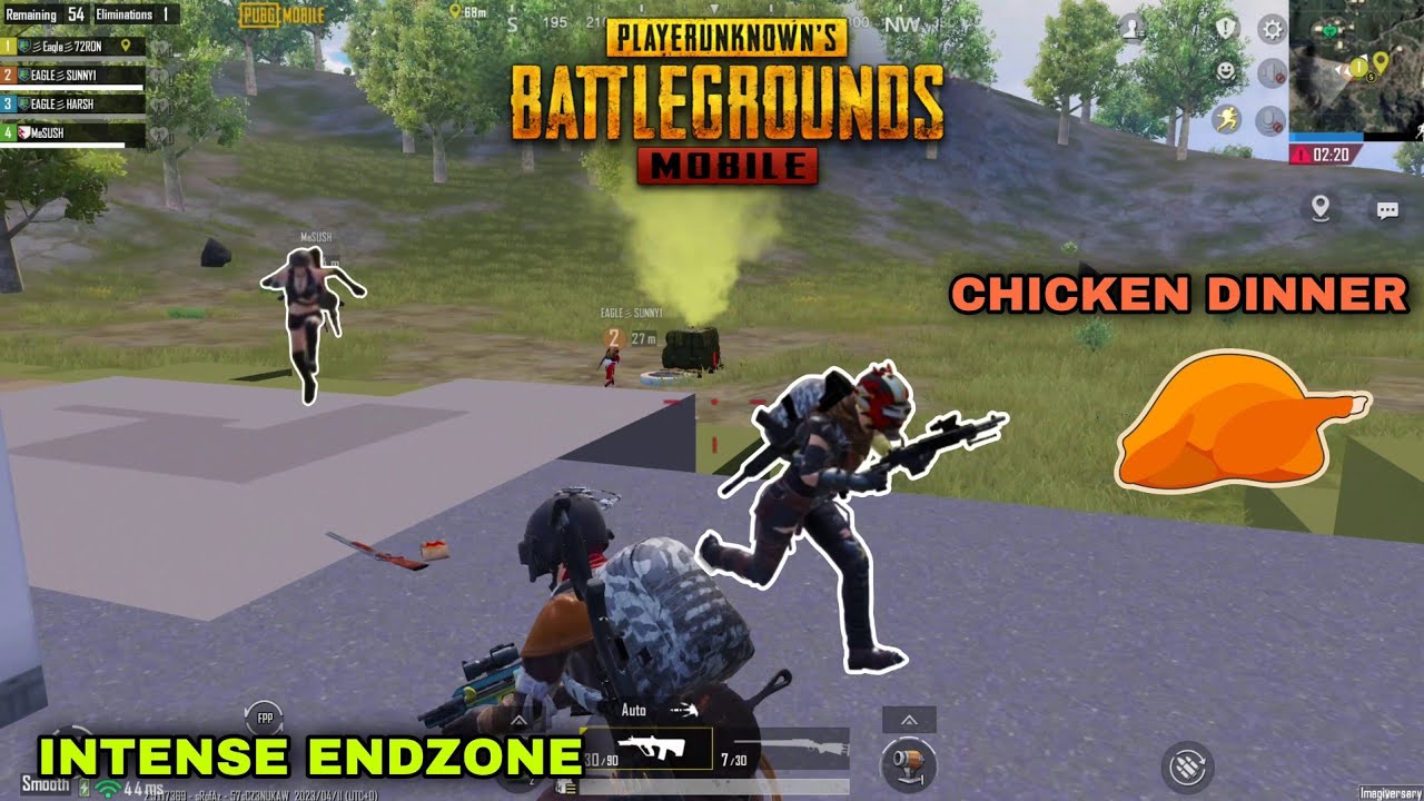 PUBG | INTENSE ENDZONE MATCH CHICKEN DINNER