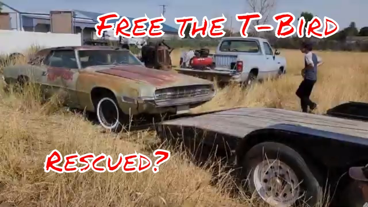 Спасённый спустя 40 лет Ford Thunderbird 429 Thunder Jet BBF 1968 года выпуска
