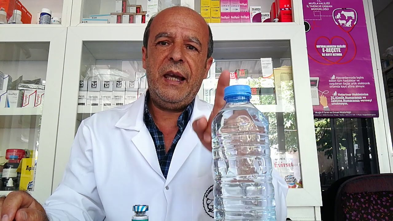 Tavuklarda içme suyu ile Canlı aşı  nasıl verilir.(Newcastle+İnfeksiyözBronsit)