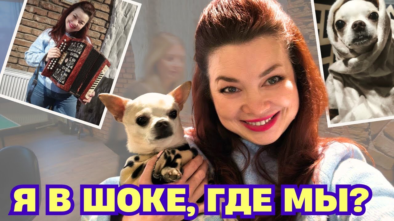 Самый неожиданный предновогодний вечер с друзьями