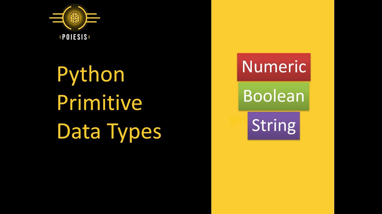 Python Primitive Data Types