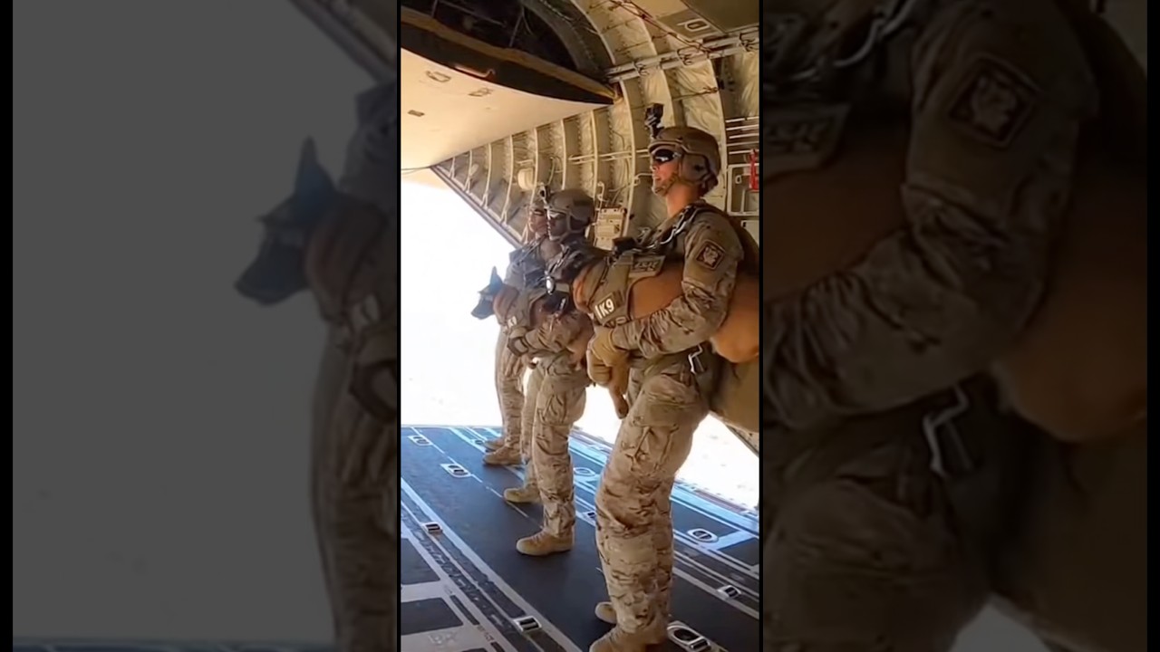Elite K9 Airborne Jump Into The Desert 🐕🪂🌵