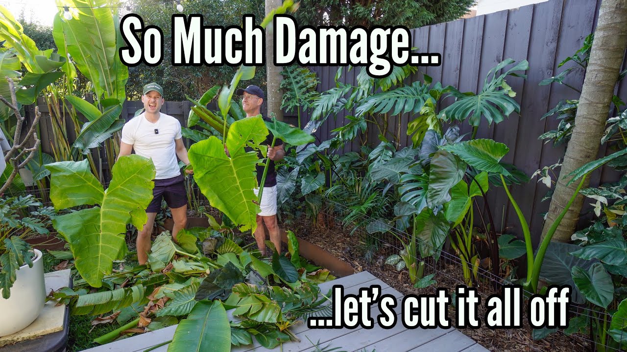 Massive Garden Clean-up after Winter