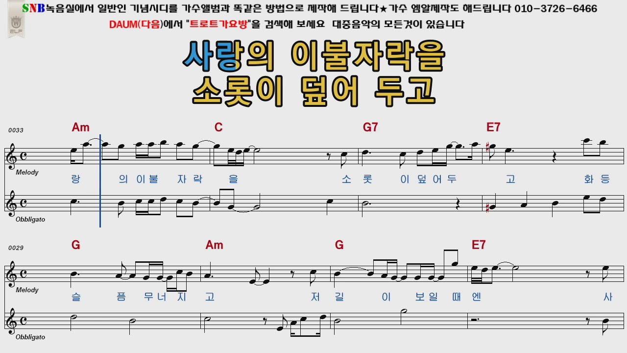 김수희 화등