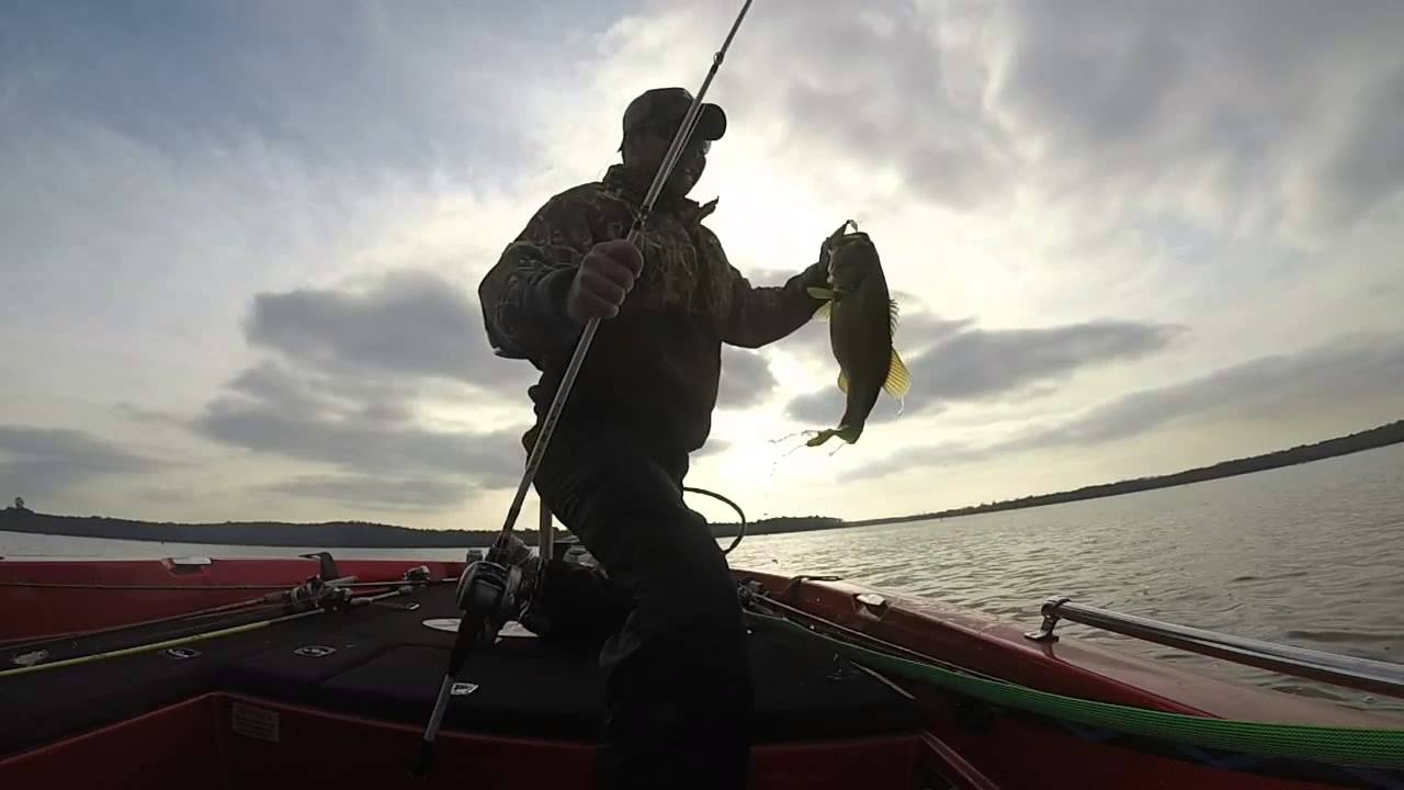 Palestine Fishing