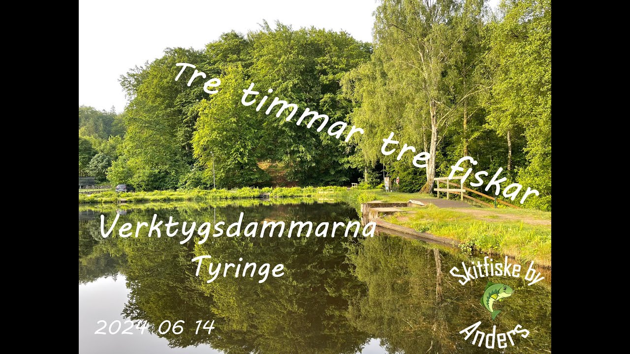 Tre timmar tre fiskar. Fiska regnbåge i Verktygsdammen i Tyringe.