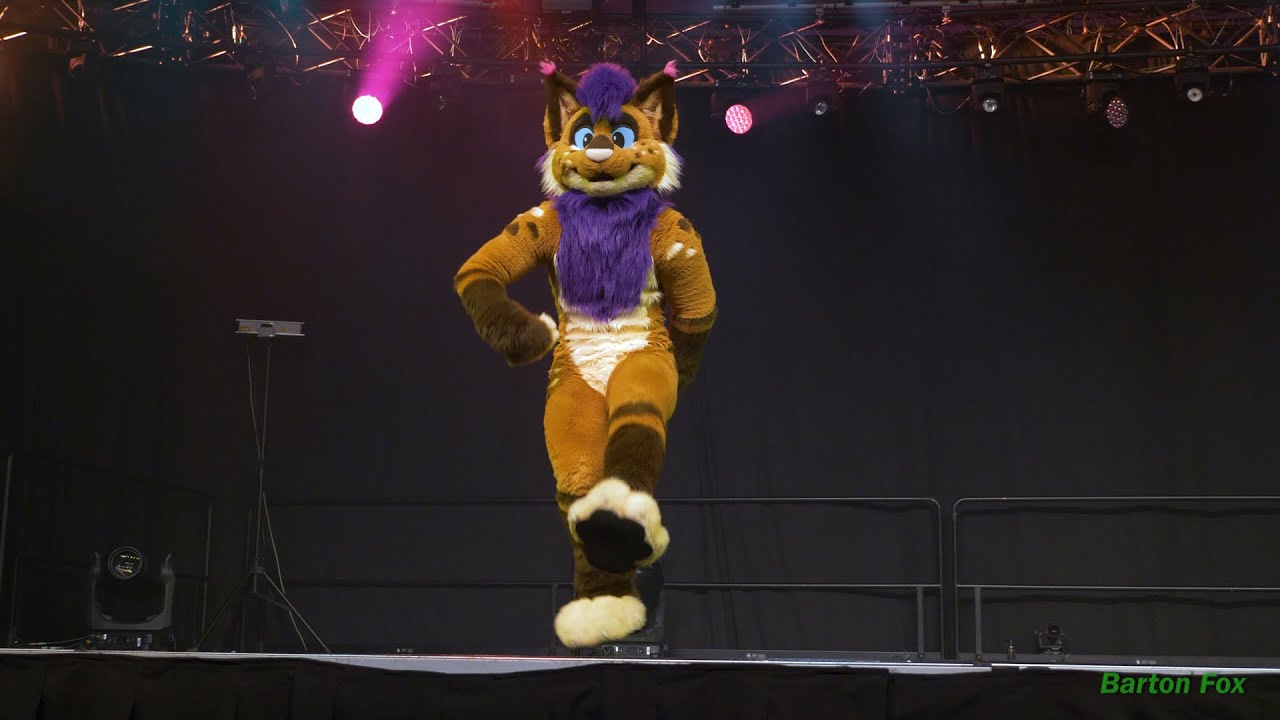 Anthrocon 2019 - Dance Competition - Strobes