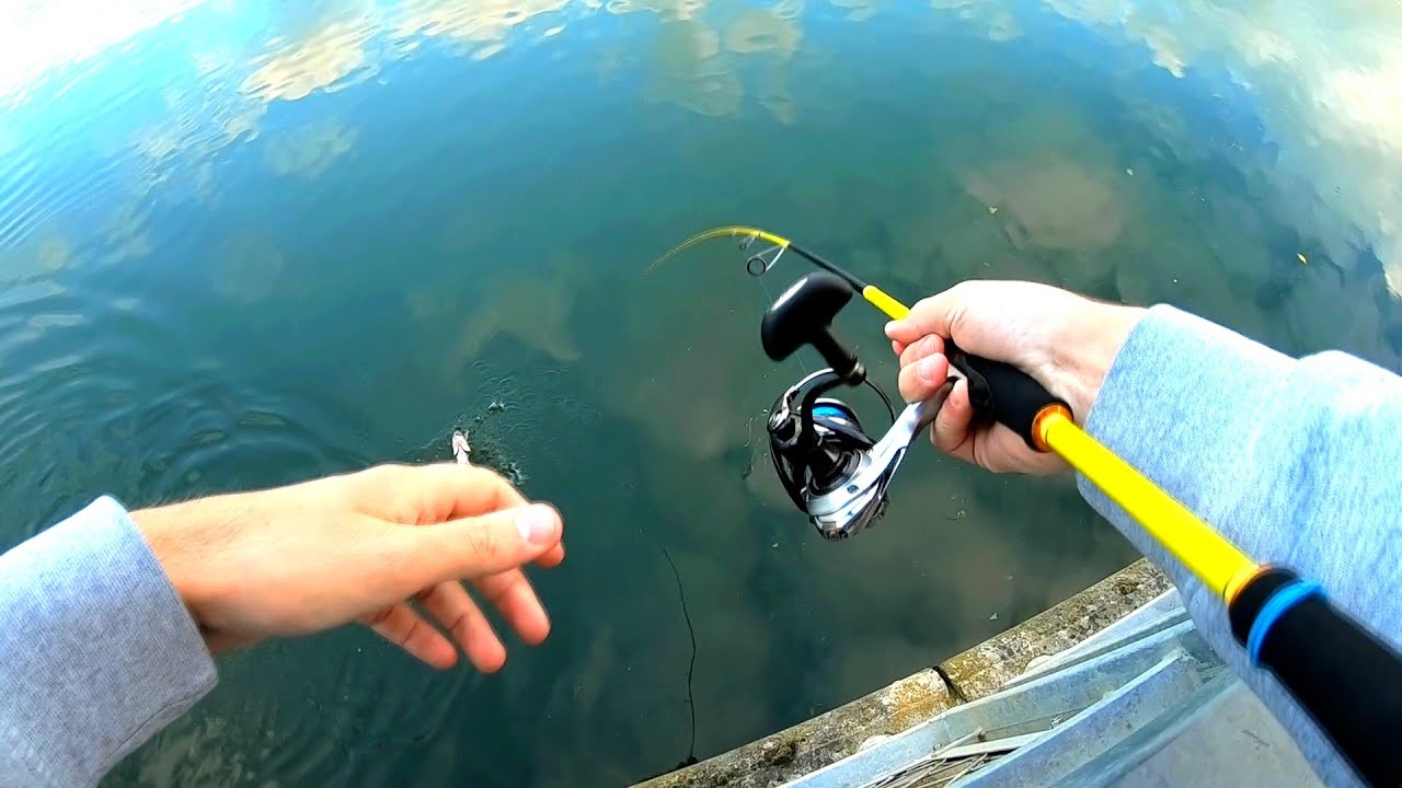 Pêche du SANDRE en Saône // Jerkbait ZANDER FISHING