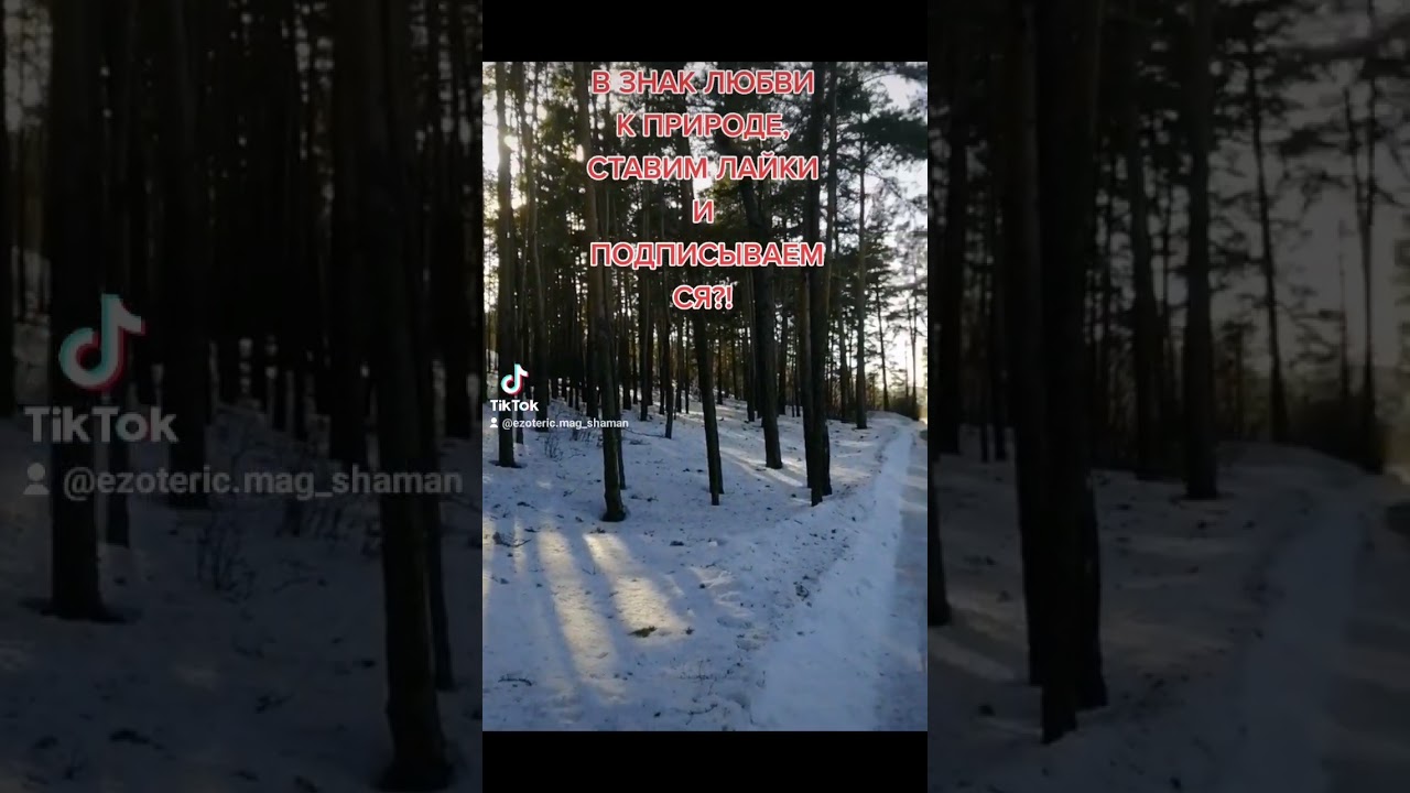 Тик-токе @ezoteric.mag_shaman