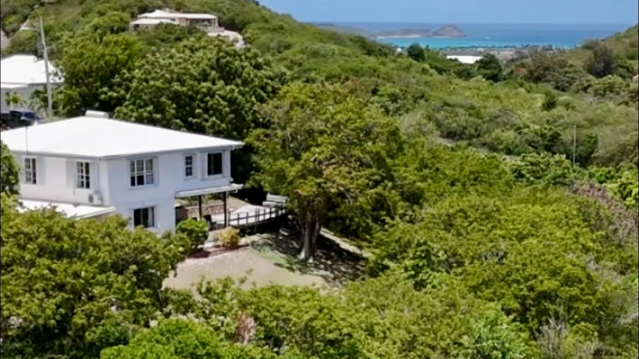 Treescape, Royal Palm road, Cedar Valley, Antigua