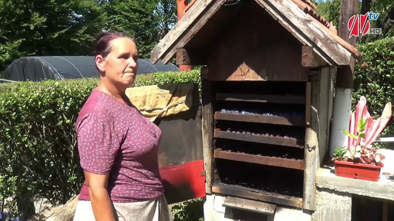 Vrijeme je za sušenje voća: Munira je objasnila postupak sušenja šljive