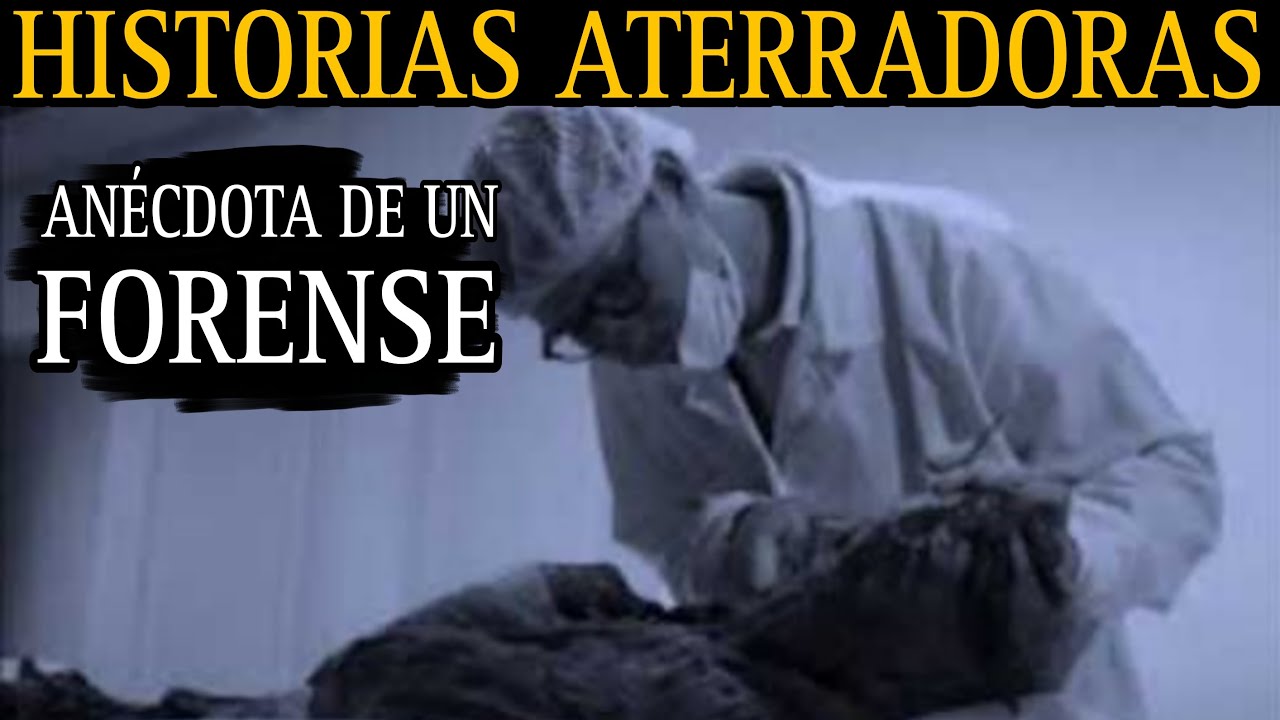 UNA HORA DE RELATOS NUEVOS DEL CANAL / NUNCA HABLES CON UN CADAVER / MARATON DE HORROR / L.C.E.