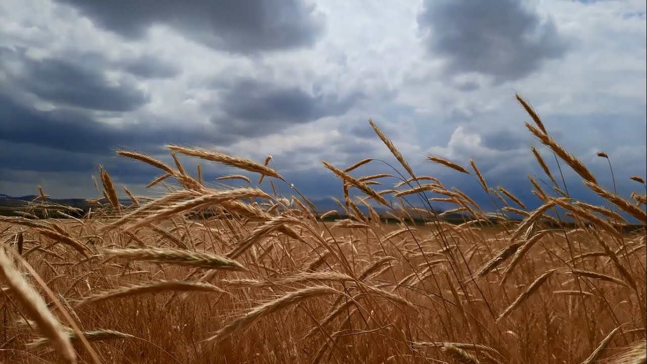 Yolculuk ve Gördüklerim | Nevşehir - Camiliören Köyü