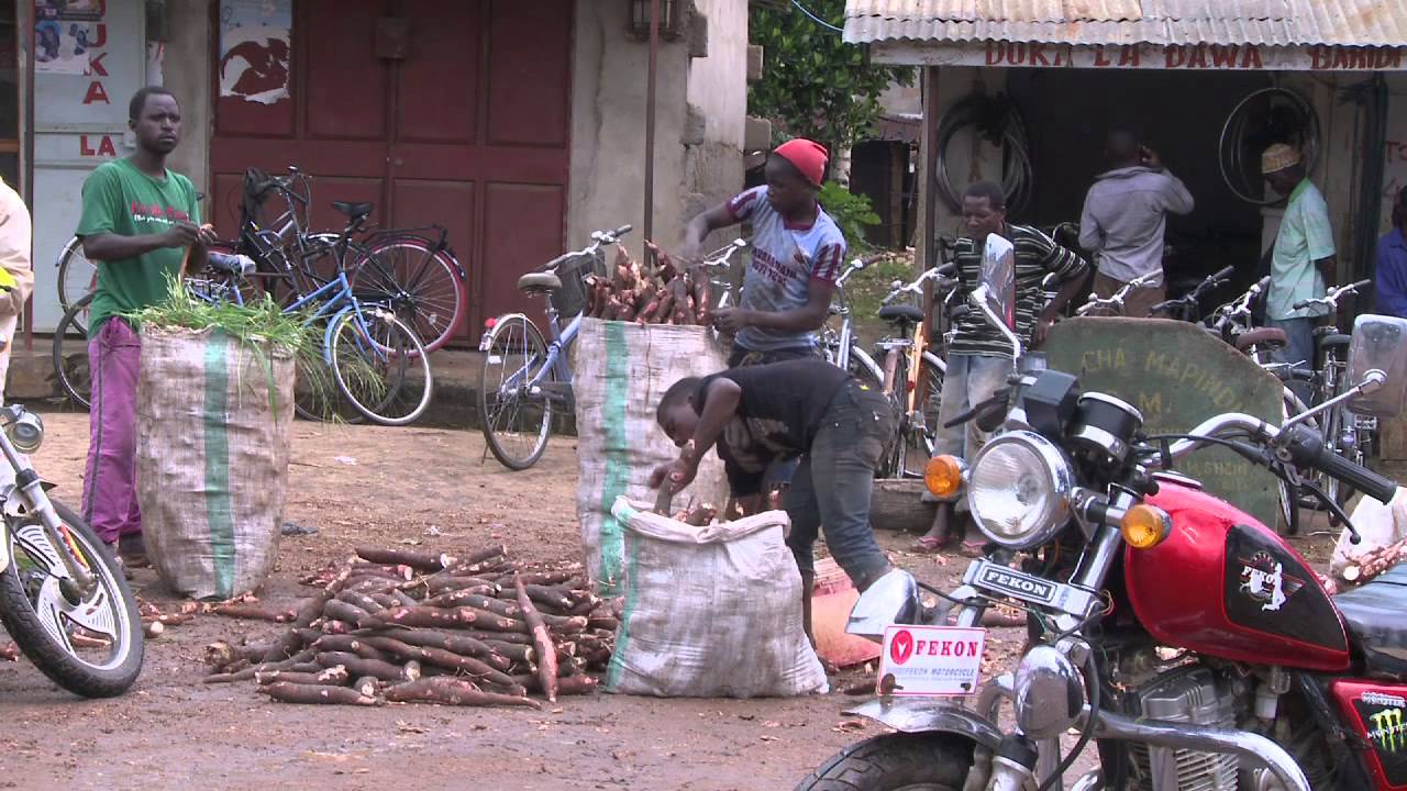 Starting a cassava revolution in East and Southern Africa