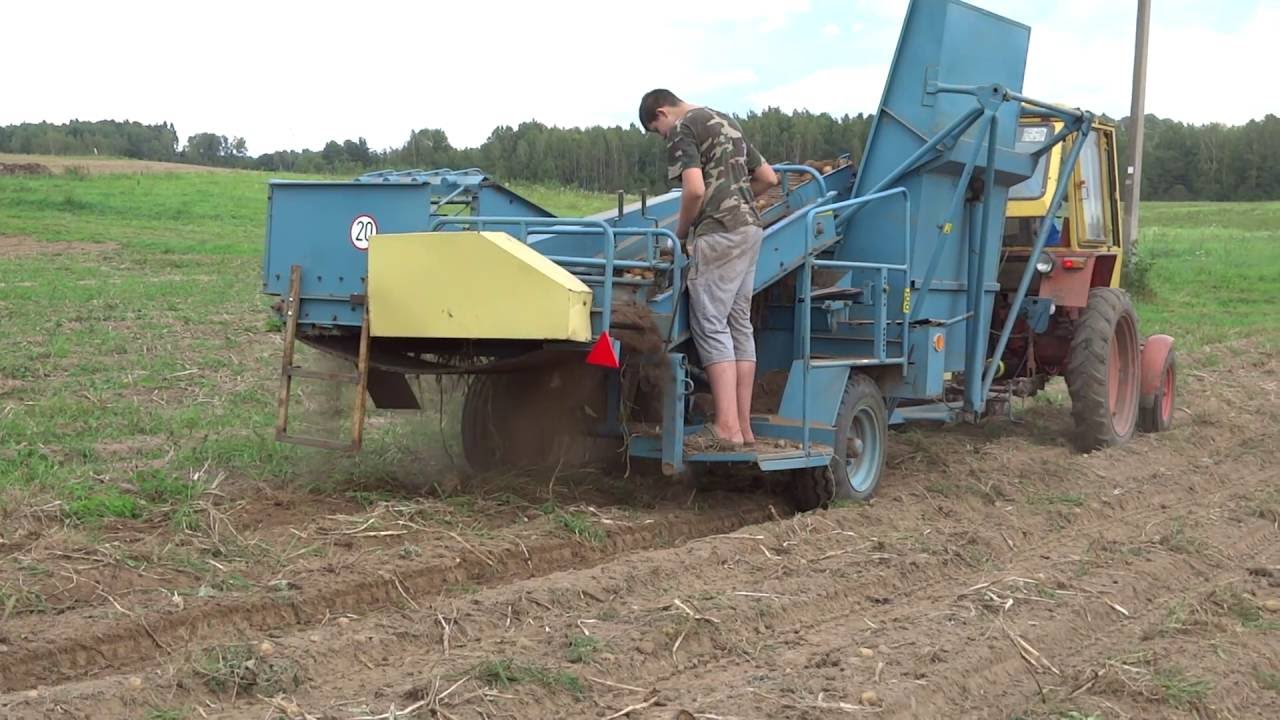 Potato harvesting 2016|Bulviakasis 2016|T-25 Bolko