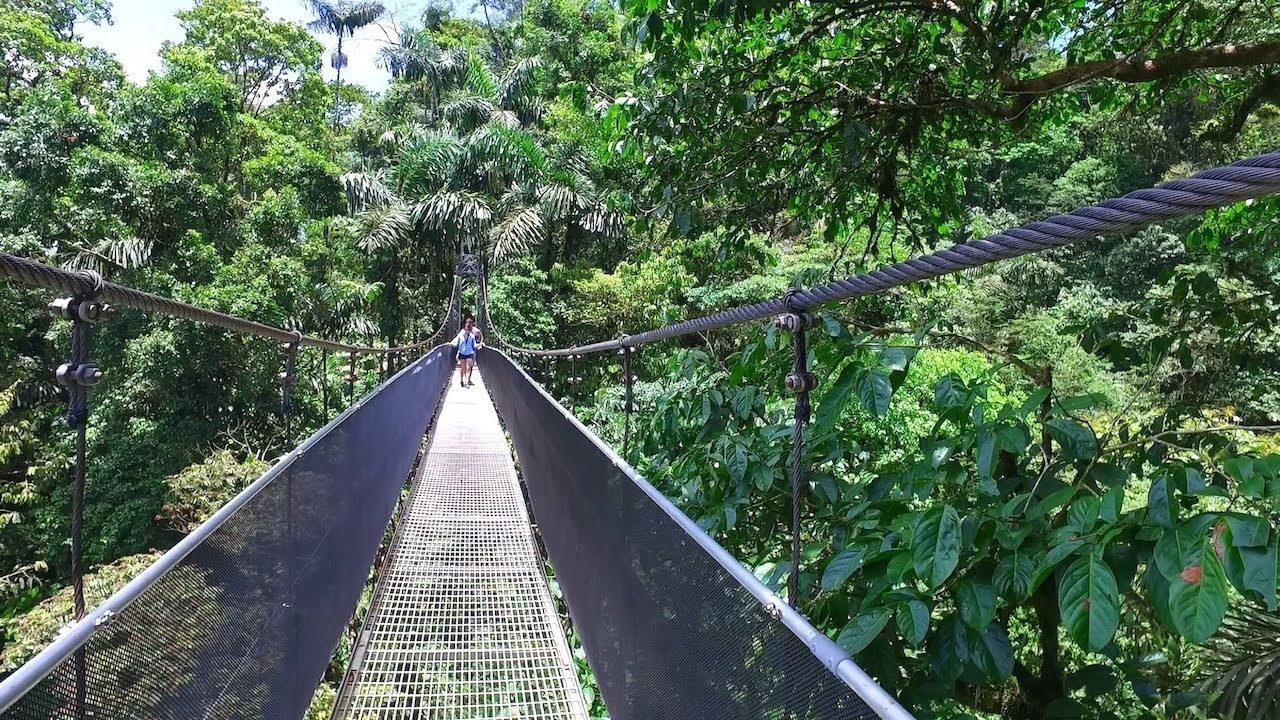 Ponts Suspendus Mistico Park, Volcan Arenal / La Fortuna, Costa Rica