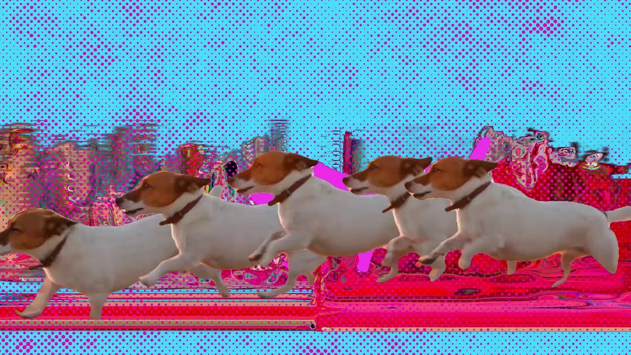 Panda Bear - Praise (Official Video)
