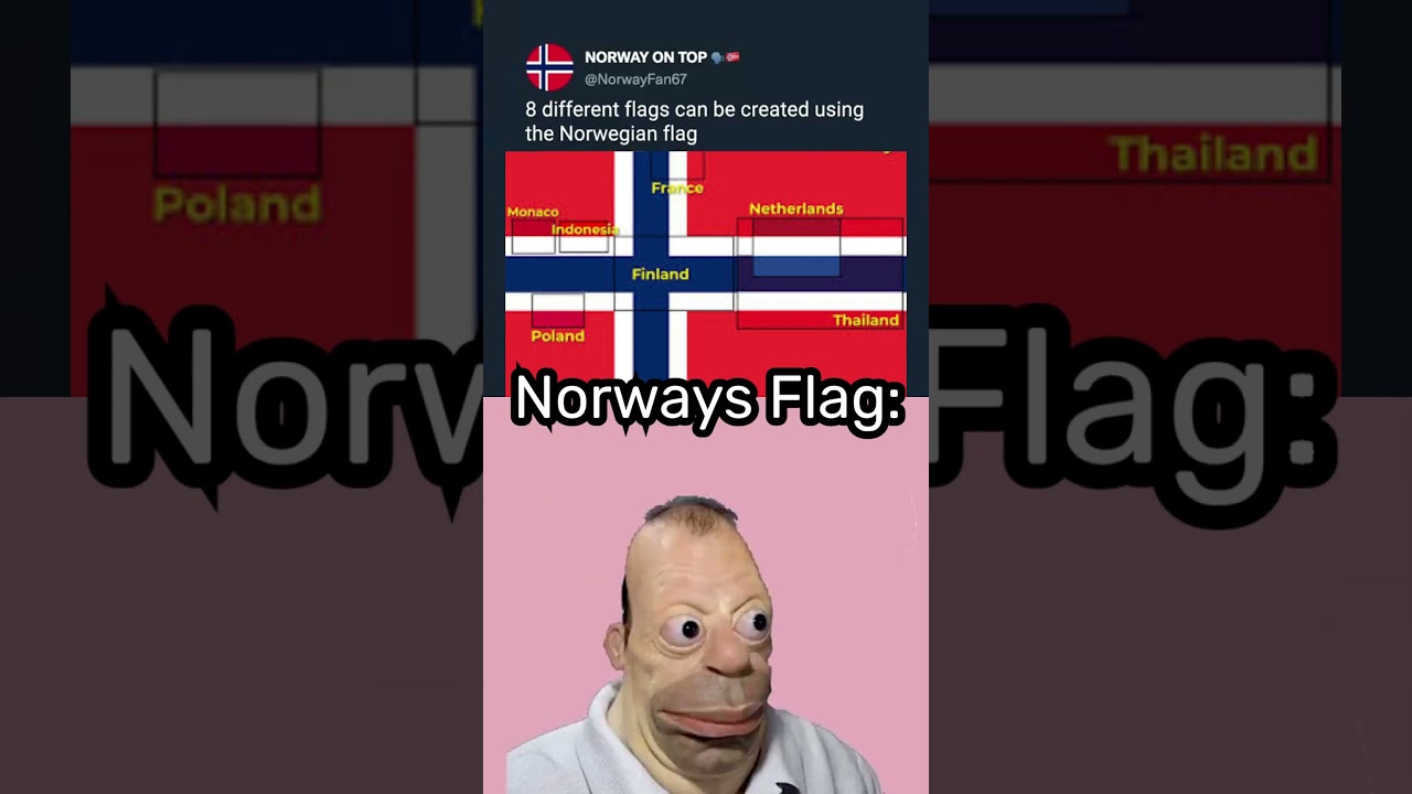 8 Flags Hidden in the Norwegian Flag 🇳🇴😂 | Homer Simpson Evolution Meme