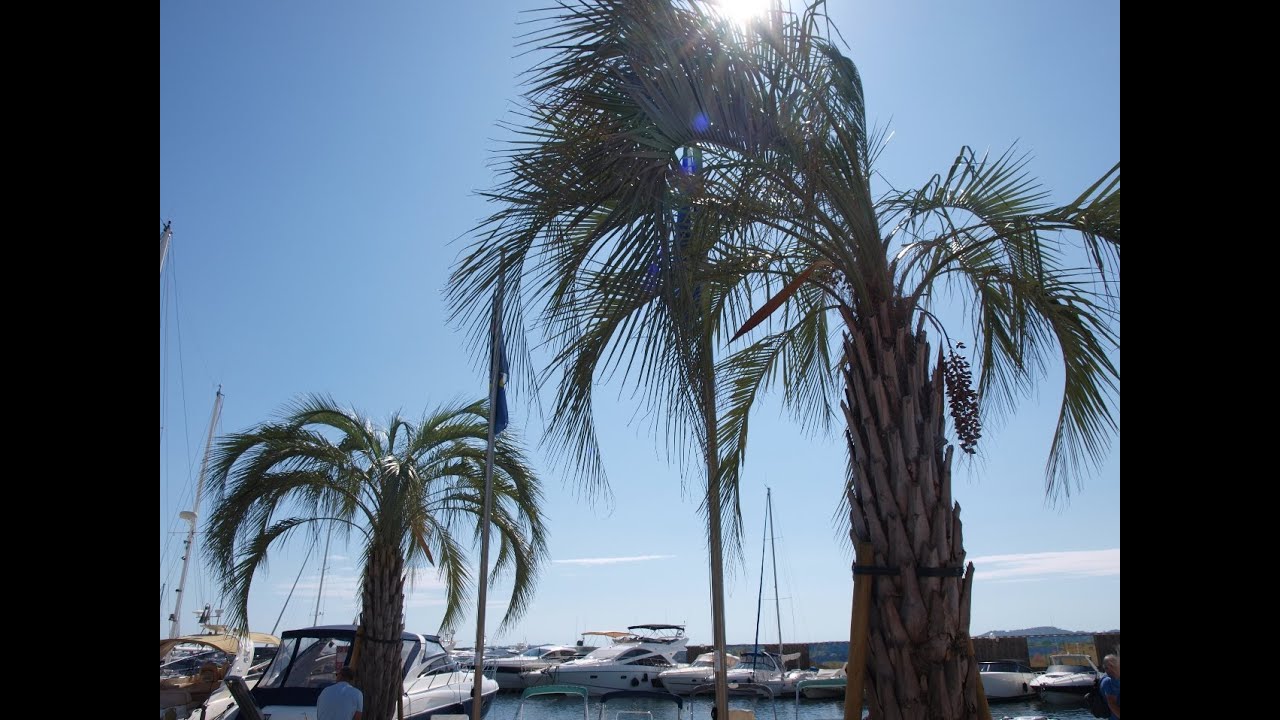Sainte Maxime - 2013 [Video]