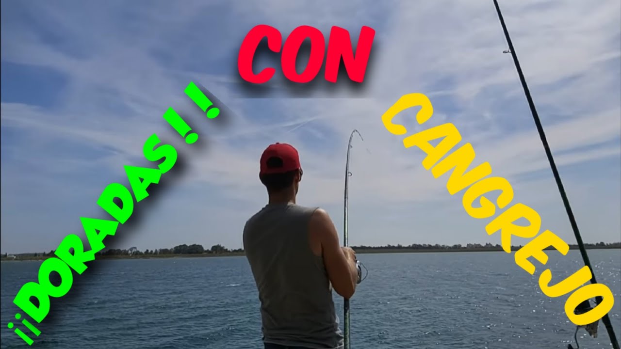 🔥🐸Pesca Doradas con Cangrejo y Catalana 🐳 Paseo Marítimo de Vila Real Santo Antonio🐸🔥