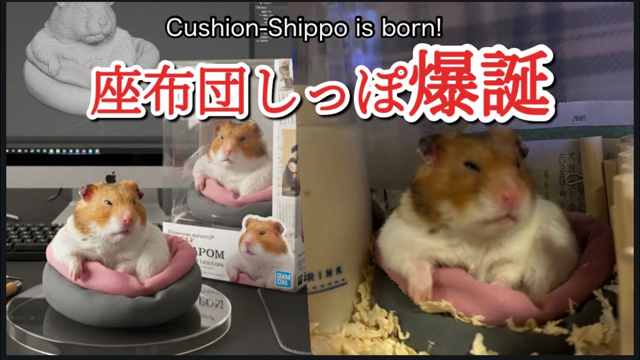 座布団しっぽがフィギュア化!?/Cushion-Shippo turned into a figure!?