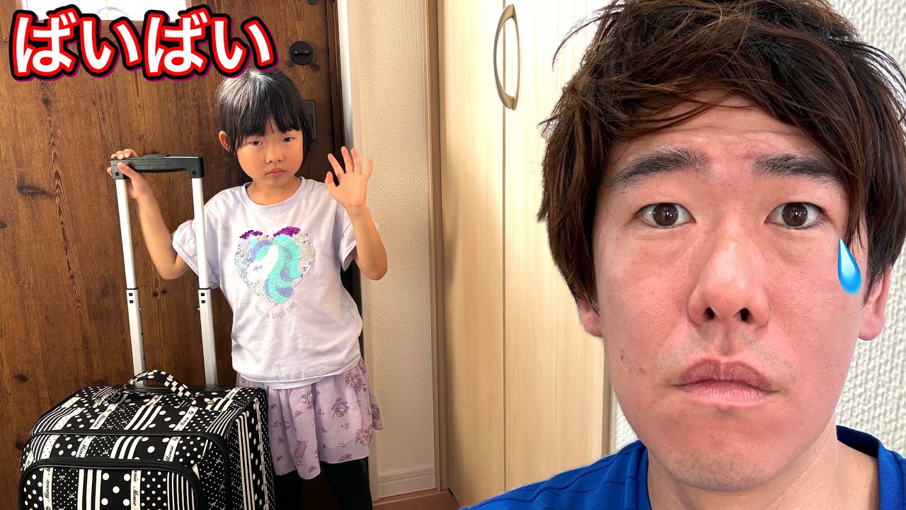 ここちゃんがしばらくお家に帰ってこなくなります…………【お泊まり】