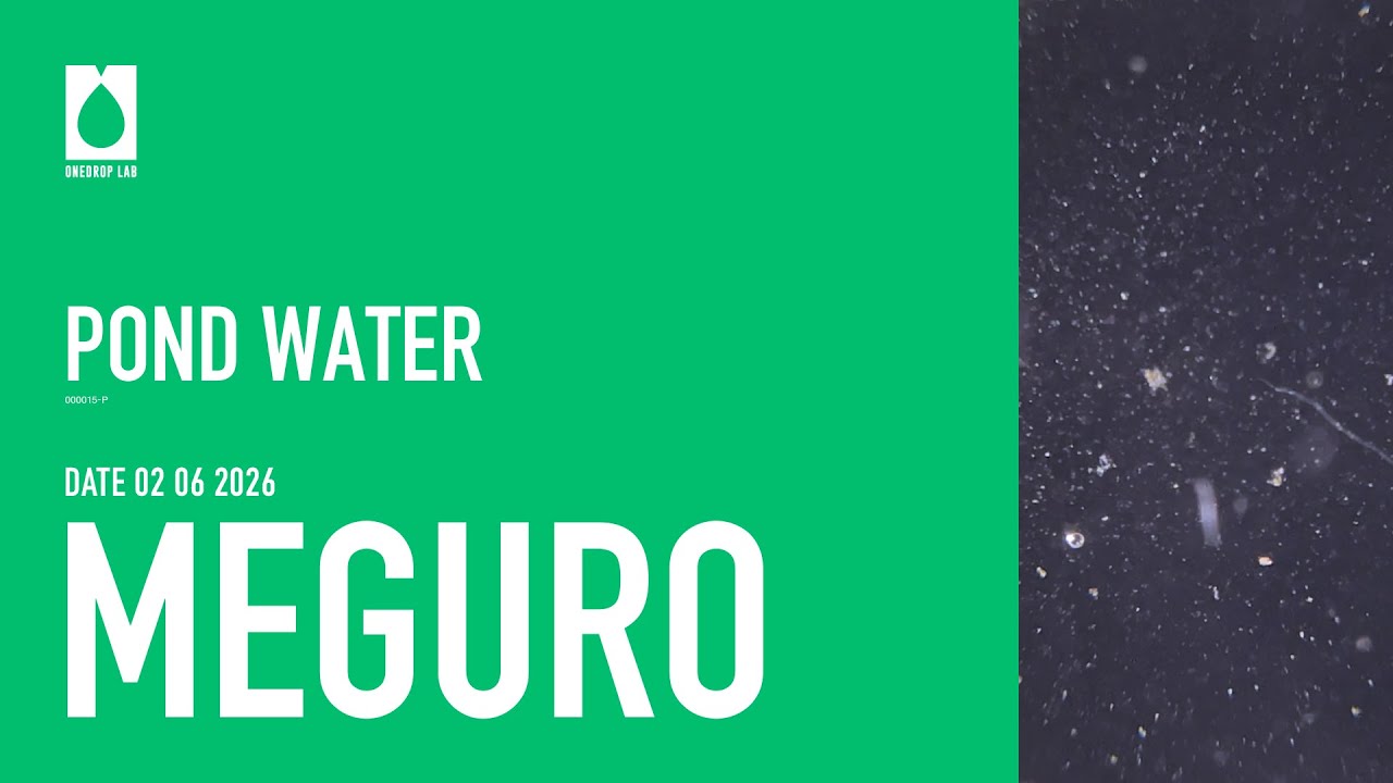 ［000015-P］02/06/2026 POND WATER-MEGURO