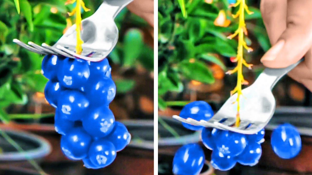 Clever Gardening Hacks You’ll Want To Know