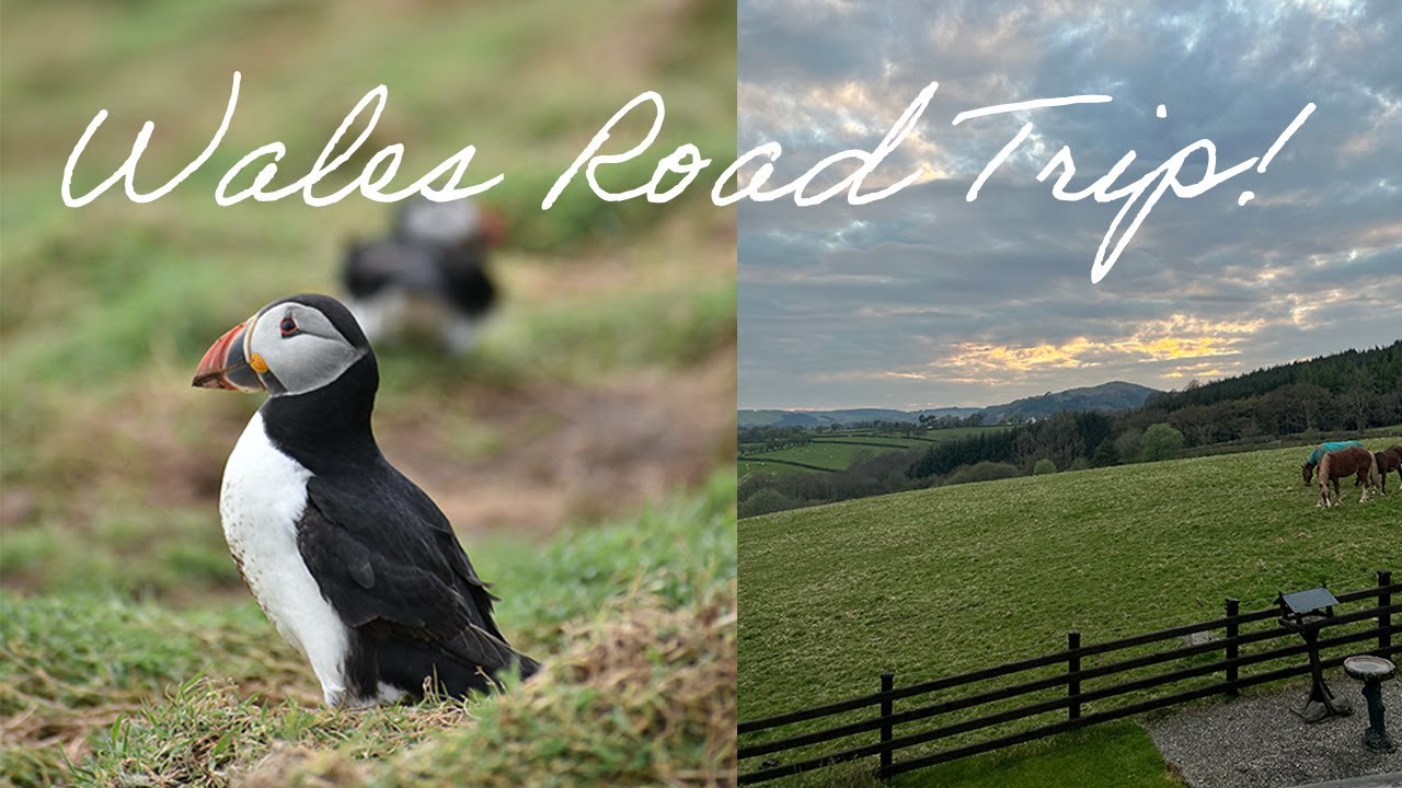 Wales Vlog | Skomer Island Puffins & Brecon Beacons