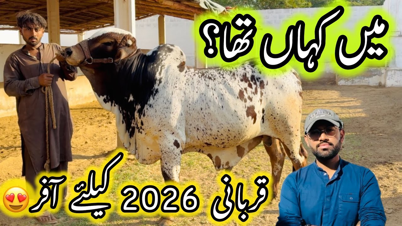 Where I Was ? | Qurbani 2026 K Liye Offer 😍 | Uzair Cattle Farm | Karachi Cattle Collection
