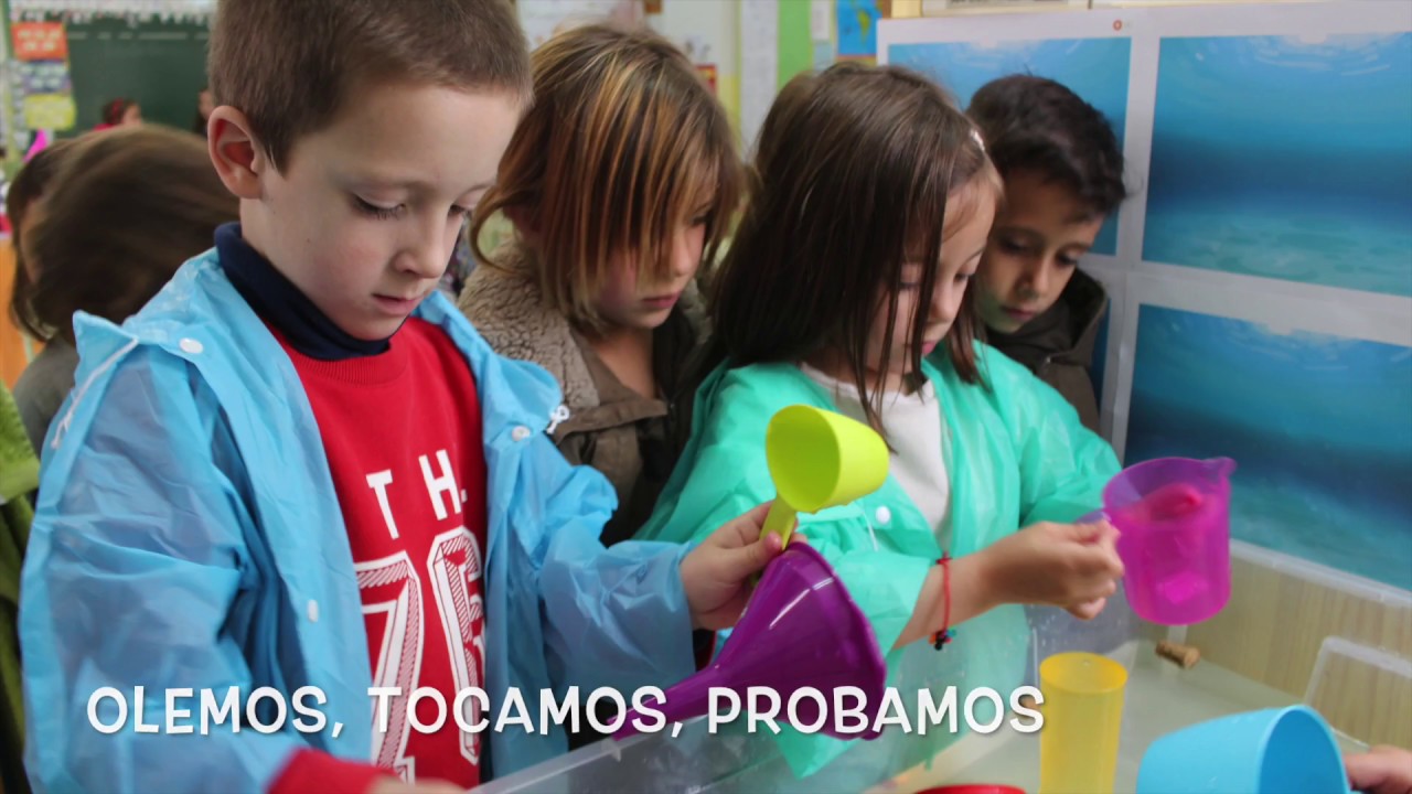 Proyecto 