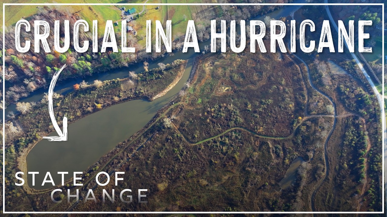 Why restoring floodplains matters more than ever | State of Change
