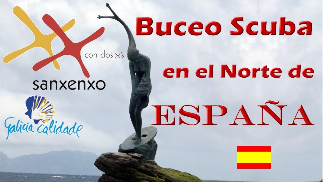 Galicia Scuba Diving: Gorgonians in Sanxenxo